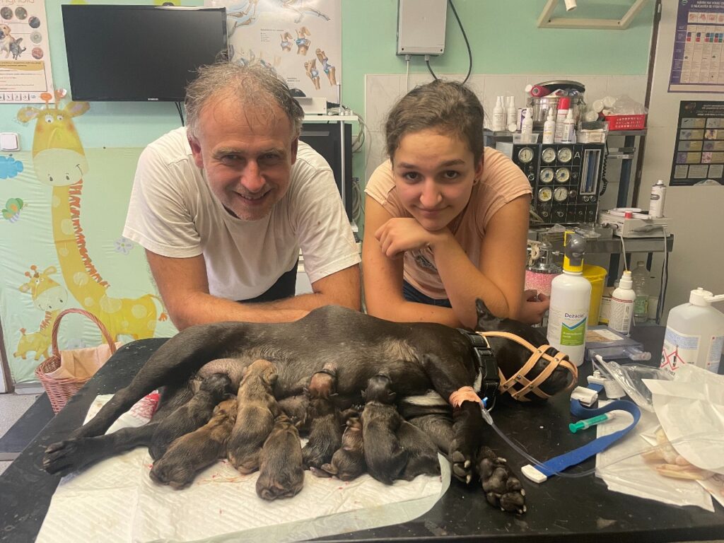 S milou „praktikantkou“ Štěpánkou po císařském řezu fr. buldočka